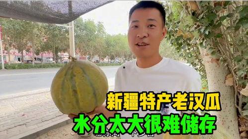 新疆大叔吃老汉瓜视频,瓜香四溢，民俗风情尽展眼前
