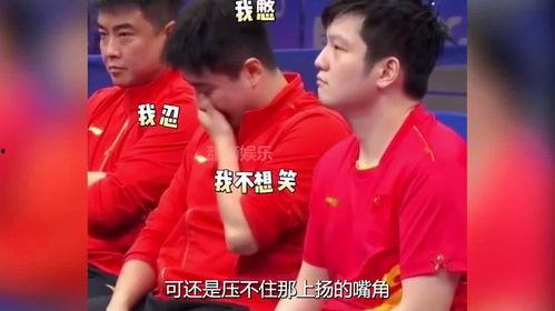 国乒队全员吃瓜视频,欢乐氛围感染网友