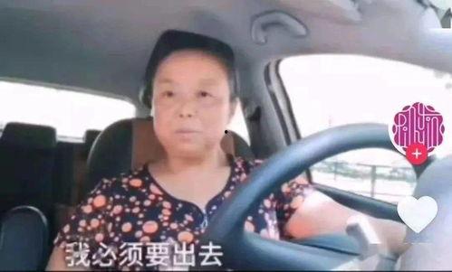 上海阿姨博主吃瓜视频,吃瓜视频背后的真实故事