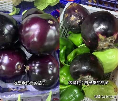 家里种的田瓜可以吃吗视频,自家田地里的美味果实