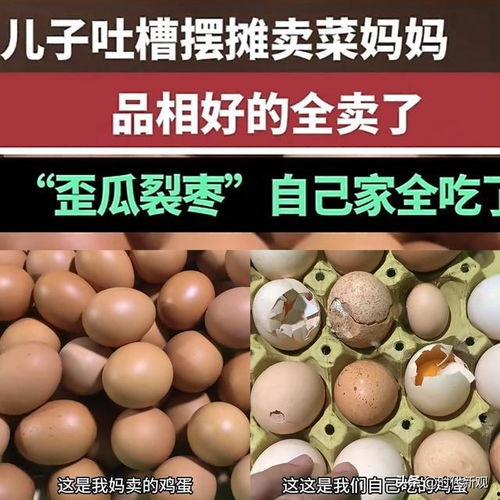 家里种的田瓜可以吃吗视频,自家田地里的美味果实