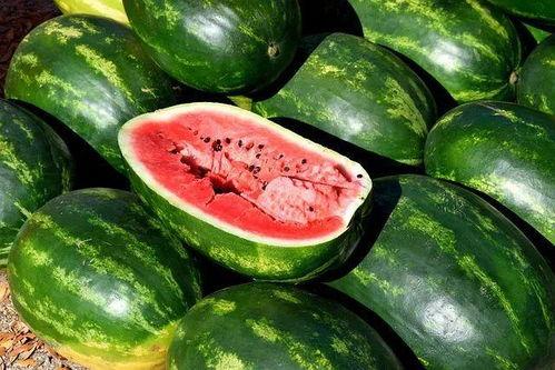 吃瓜有视频图片,视频图片带你领略娱乐圈风云变幻