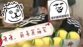 偷笑吃瓜的搞笑视频,笑翻你的搞笑视频大盘点