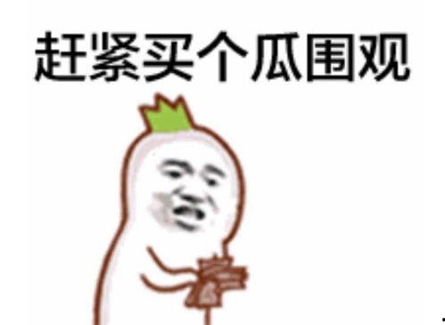 吃瓜群众几点播放的视频,带你领略幕后真相