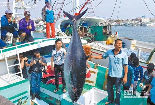 渔民在台湾吃瓜视频播放,揭秘宝岛美食风情