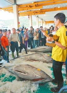 渔民在台湾吃瓜视频播放,揭秘宝岛美食风情