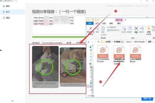 怎么获取吃瓜视频素材,轻松获取热门吃瓜视频素材的独家秘籍