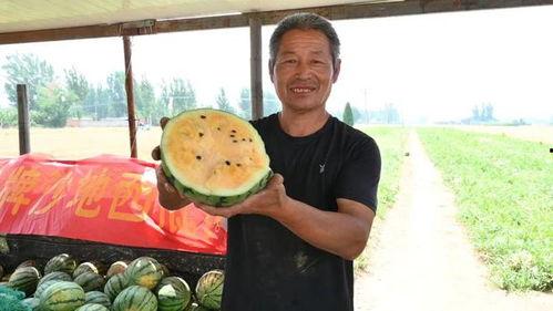 涿州最新吃瓜事件视频