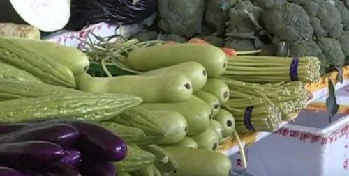 麻鸭可以吃葫芦瓜吗视频,探索鸭类新食谱