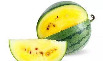 背瓜怎么吃才好吃呢视频,揭秘“背瓜”的最佳食用技巧